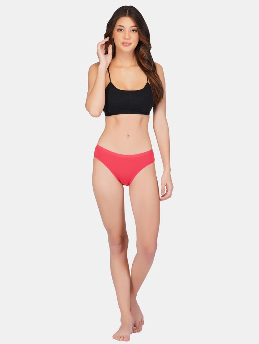 pack of 2 bikini panty - 19724459 -  Standard Image - 4