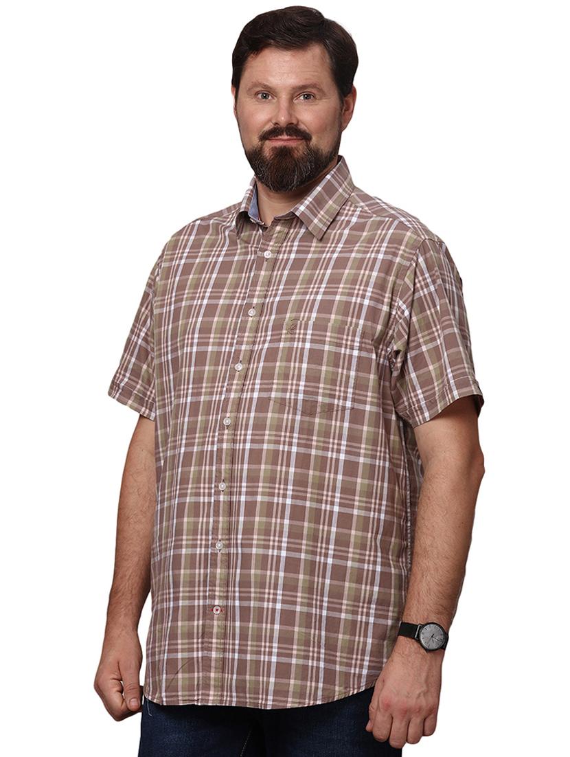 mens checks casual shirt - 19992074 -  Standard Image - 1