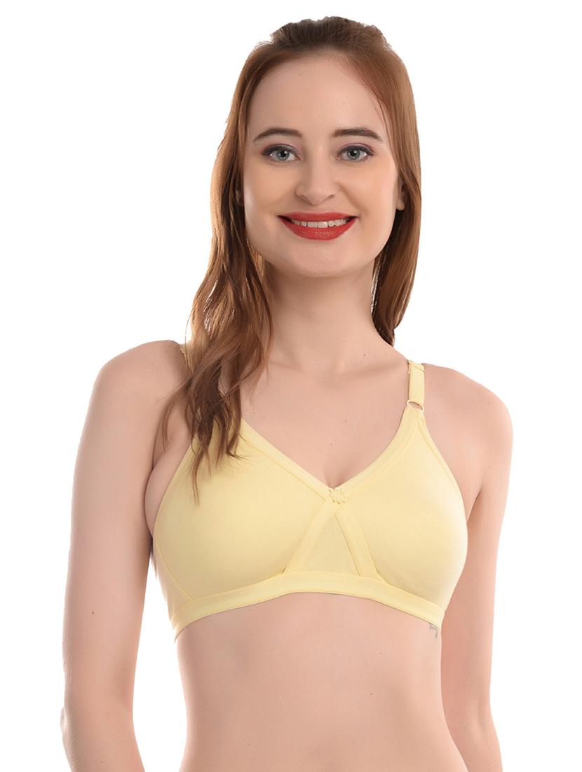 pack of 2 regular bra - 20021944 - Standard Image - 1