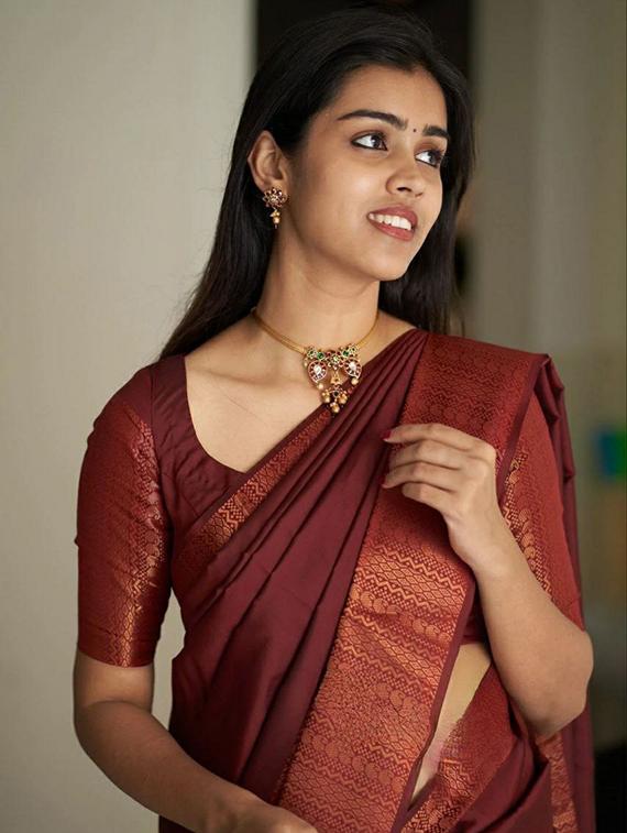 brown banarasi saree with blouse - 20068134 - Standard Image - 4