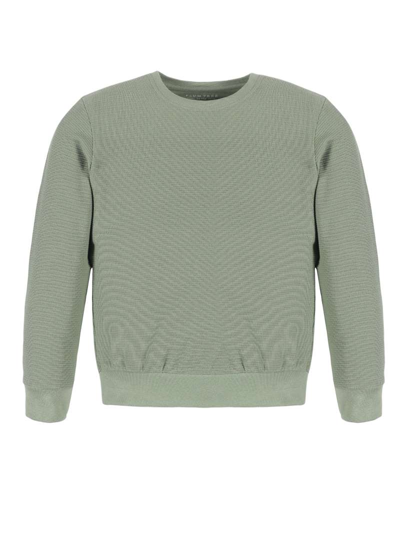 green solids full length sets - 20189854 -  Standard Image - 1