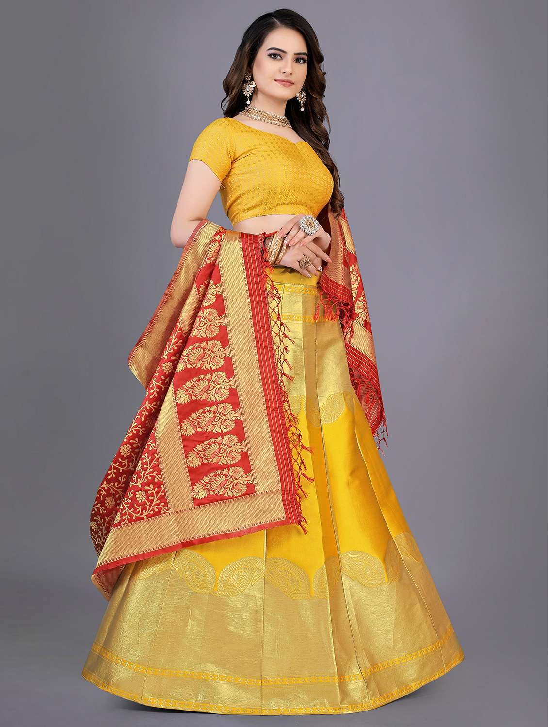self design panelled lehenga choli set with dupatta - 20214778 - Standard Image - 1