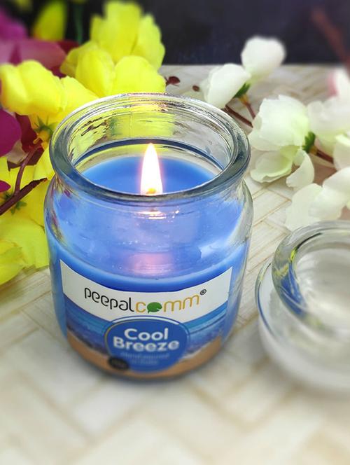 peepalcomm scented wax jar candles set - 20386396 - Standard Image - 0