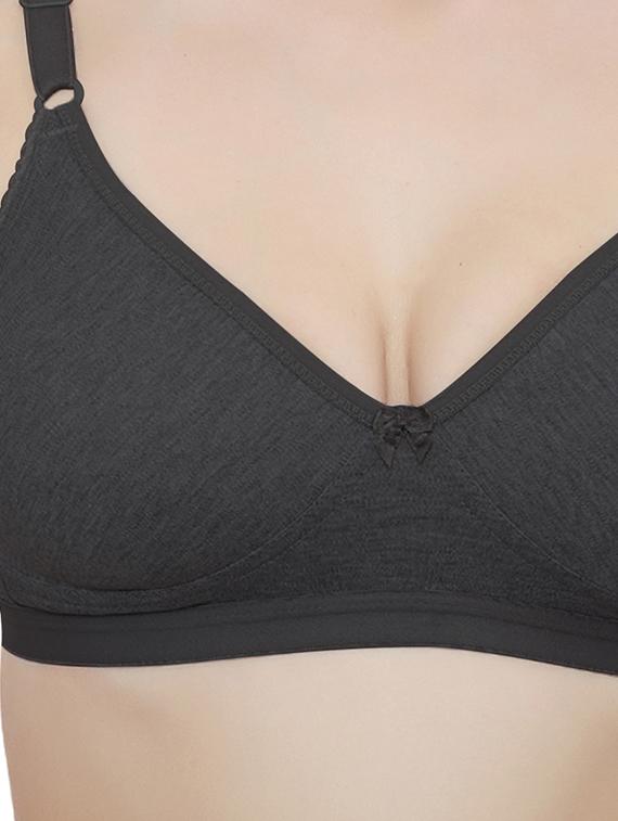 pack of 2 solid t-shirt bra - 20411227 - Standard Image - 4