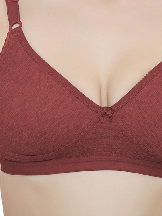 pack of 2 solid t-shirt bra - 20411229 - Standard Image - 4