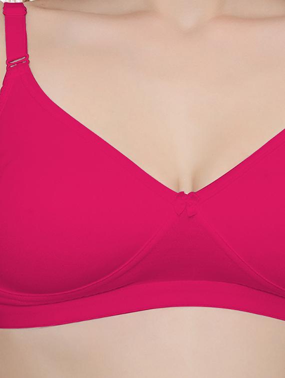 pack of 2 solid t-shirt bra - 20411230 - Standard Image - 4