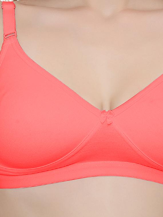 pack of 2 solid t-shirt bra - 20411240 - Standard Image - 4