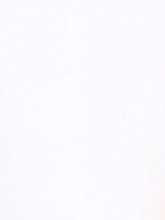 women's plain crew neck t-shirt - 20419638 -  Standard Image - 4