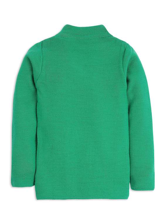 green solid long sleeves sweater - 20436567 -  Standard Image - 1