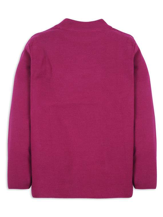 magenta solid long sleeves sweater - 20436571 - Standard Image - 1