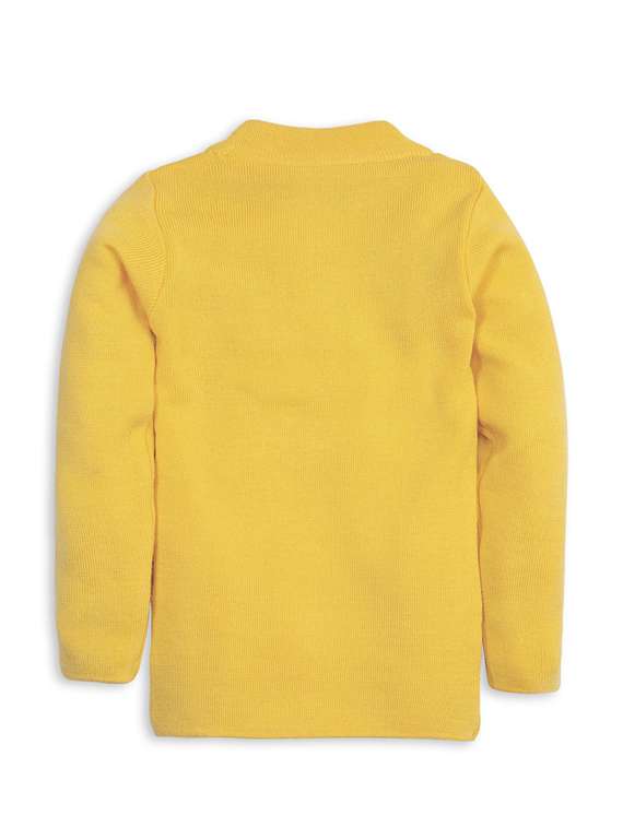 yellow solid long sleeves sweater - 20436581 - Standard Image - 1