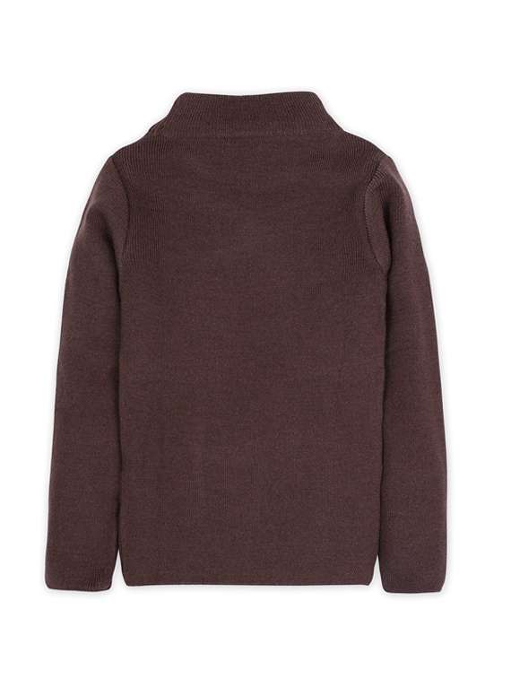 brown solid long sleeves sweater - 20436583 - Standard Image - 1