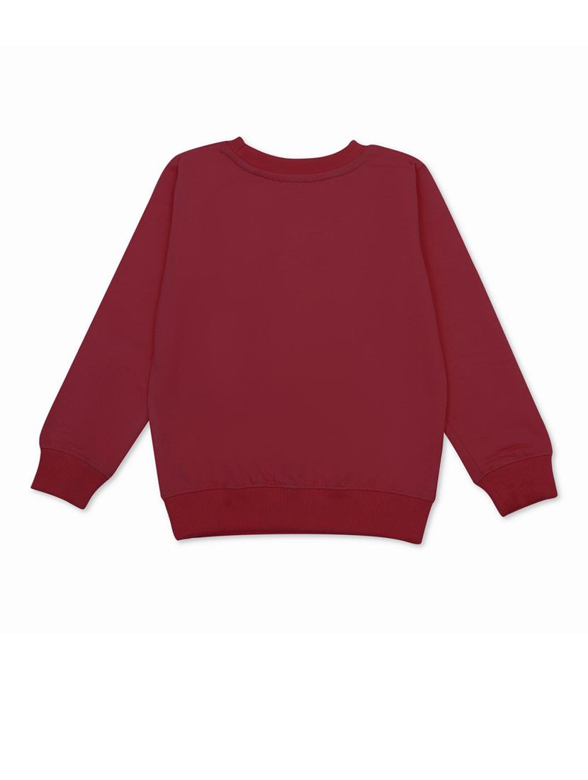 boys printed sweatshirt - 20468337 -  Standard Image - 1
