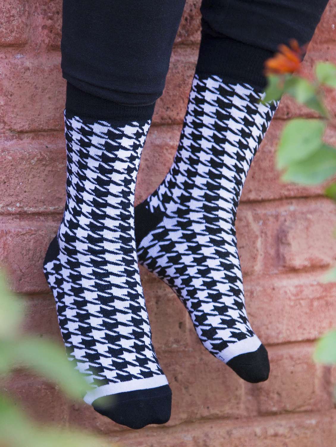women set of 4 above ankle length socks - 20498119 -  Standard Image - 1