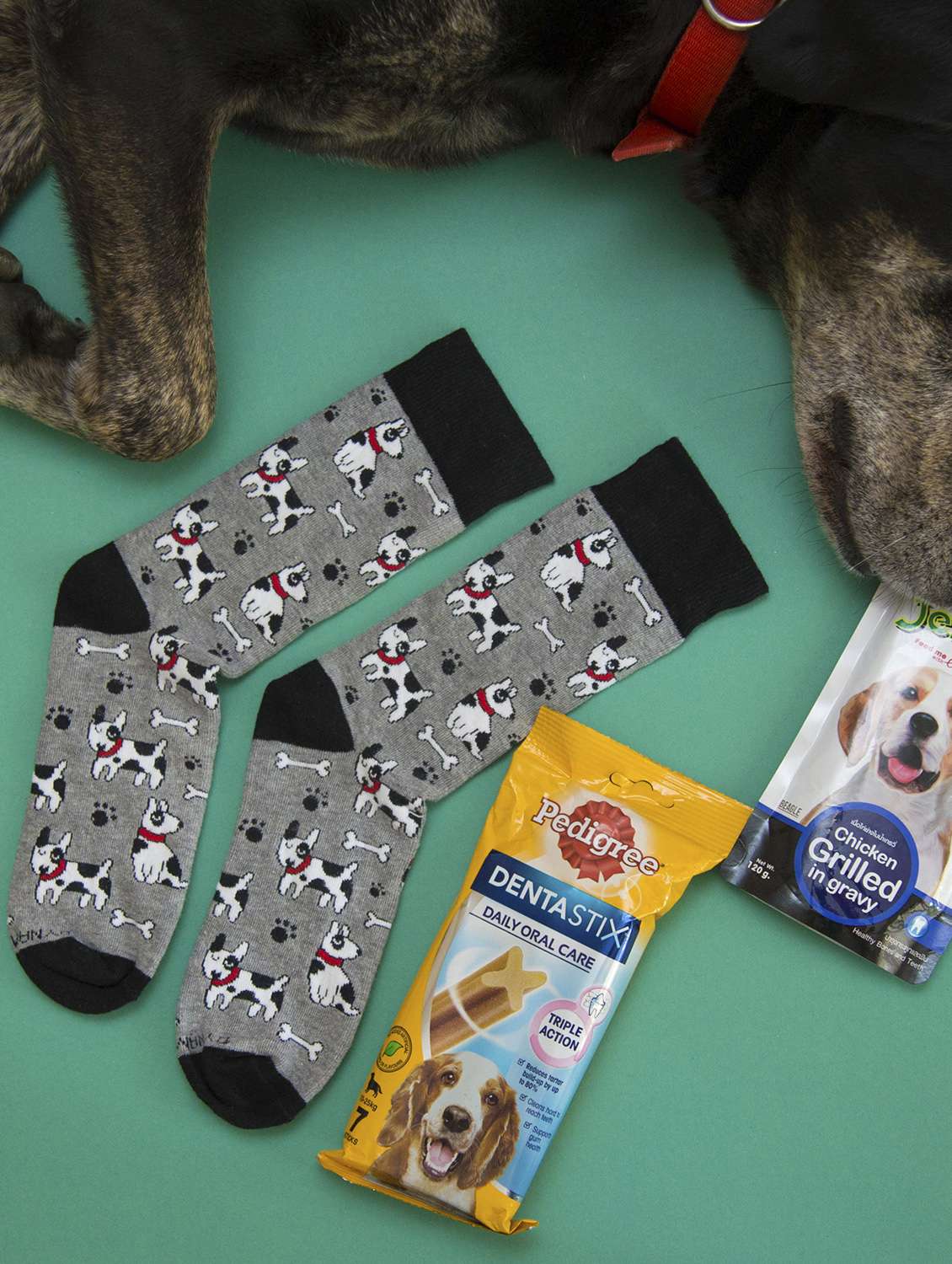 unisex multi colored above ankle length socks combo - 20498153 -  Standard Image - 1