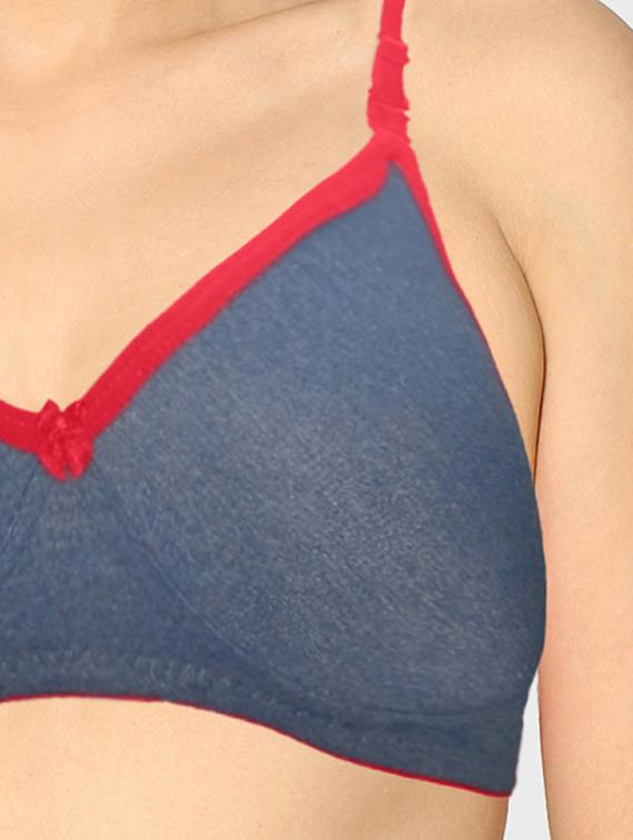 women pack of 2 solid t-shirt bra - 20560316 - Standard Image - 6
