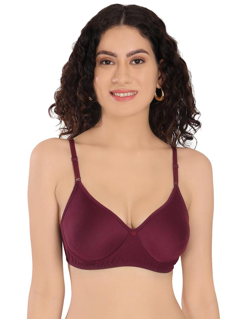 women pack of 3 solid t-shirt bra - 20596809 - Standard Image - 1