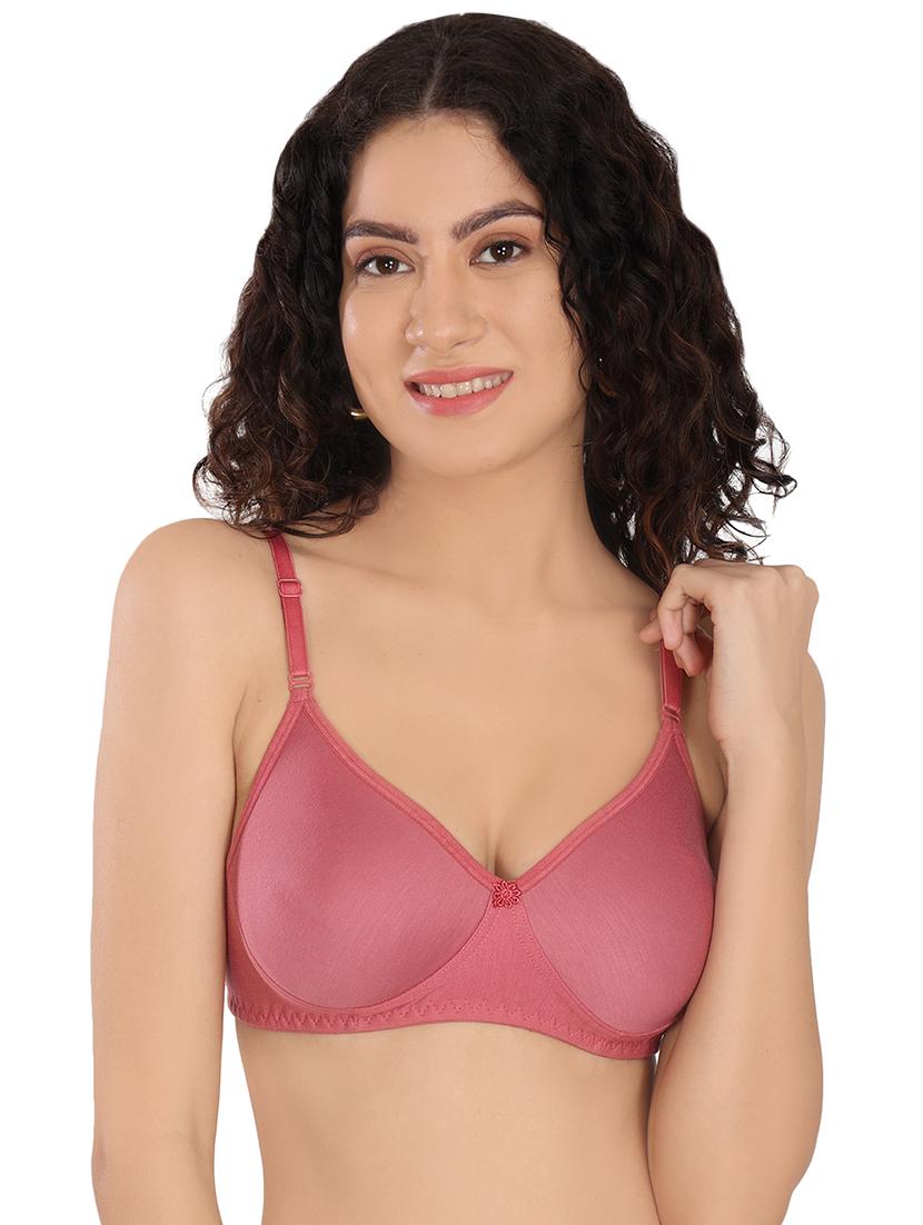 women pack of 3 solid t-shirt bra - 20596822 - Standard Image - 1