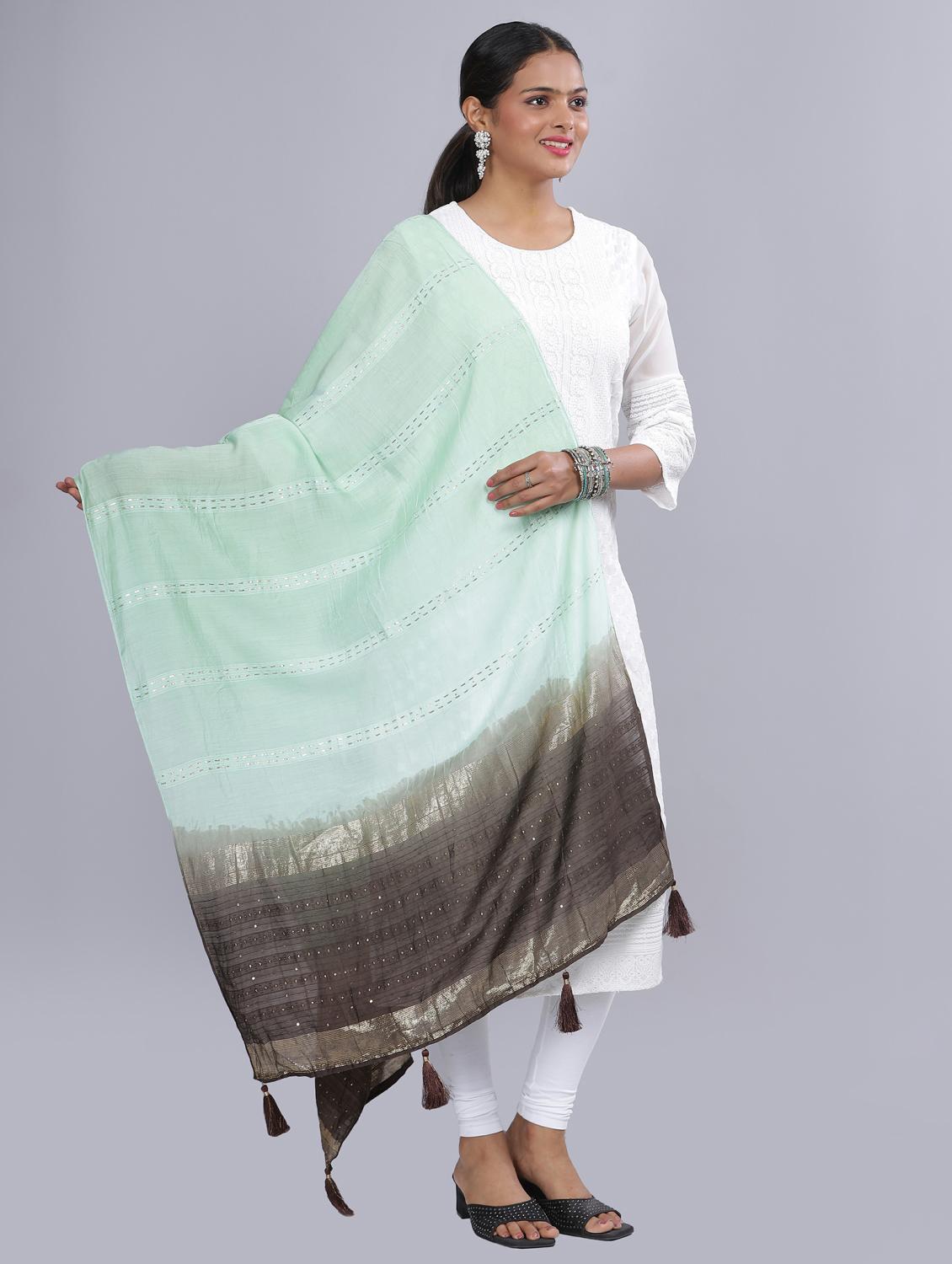 ai aqua sequined work dupatta - 20644673 - Standard Image - 1