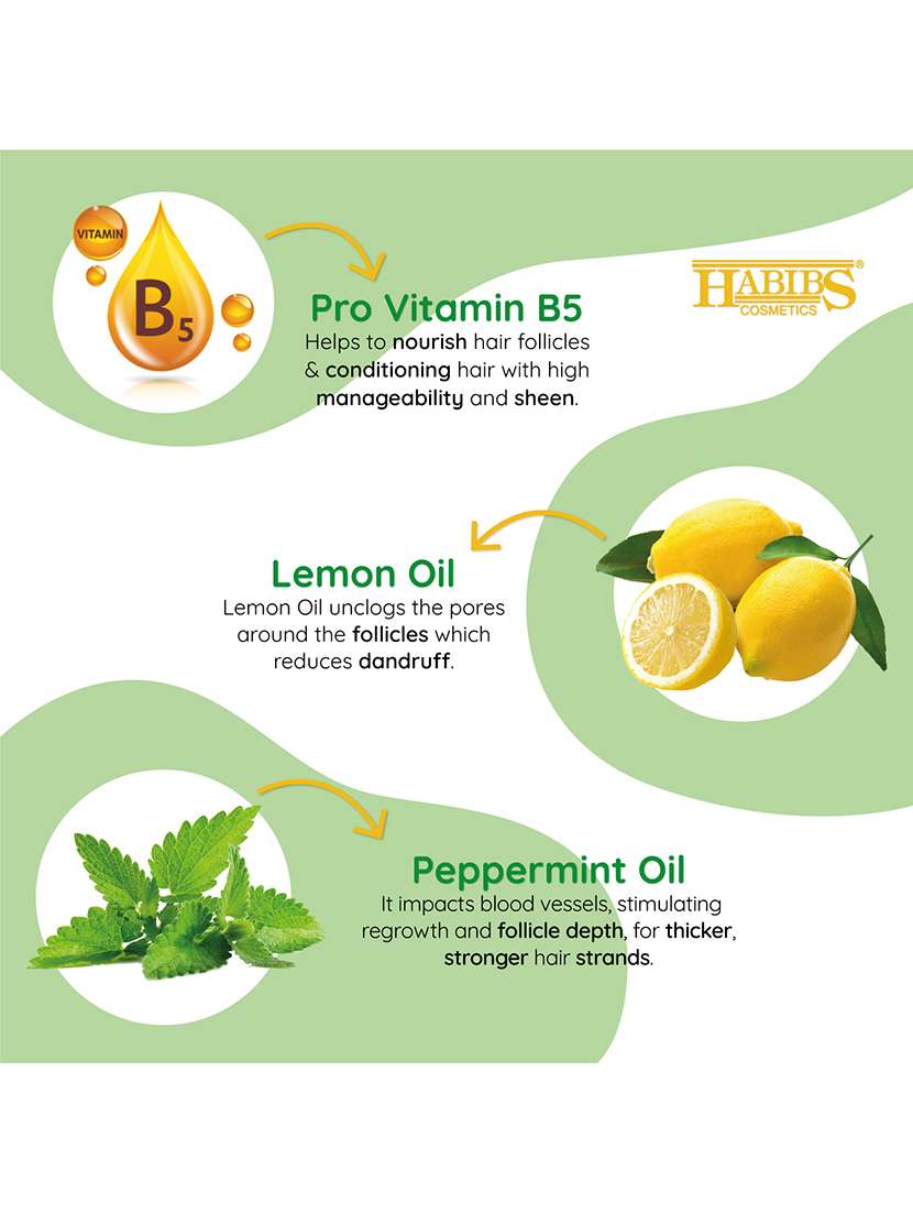 habibs professional oil control shampoo for oily hair and scalp anti dandruff with natural lemon & mint oil - 20829592 - Standard Image - 4