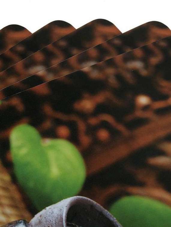 printed placemats for dining table and kitchen - 20853434 -  Standard Image - 1