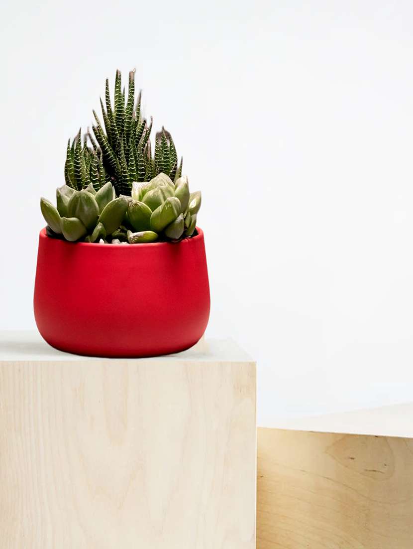 metal home decor multipurpose pot