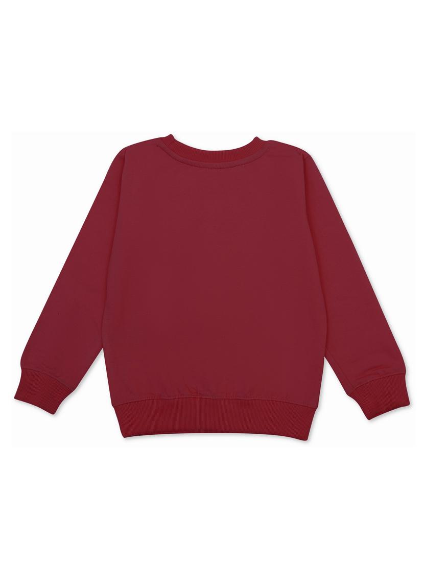 maroon solids round neck sweatshirts - 21031488 -  Standard Image - 1