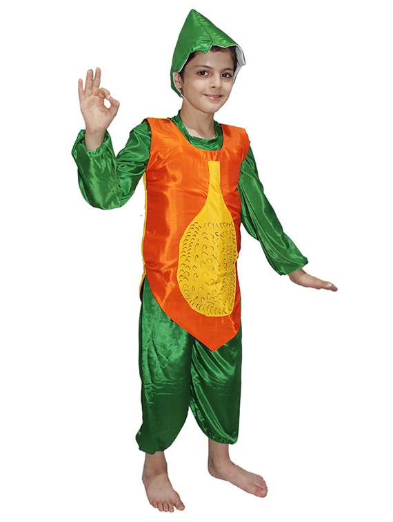 kids fancy costume - 21049108 -  Standard Image - 1