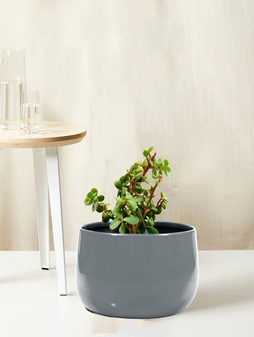 homssy grey plant container set (metal) - 21067754 - Standard Image - 0