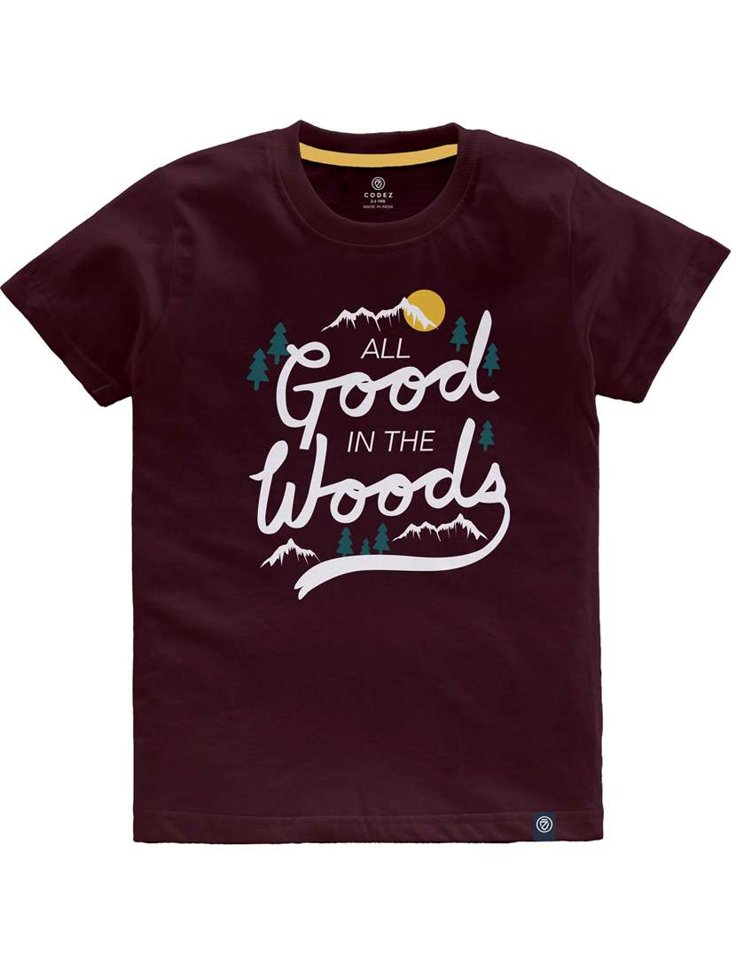 boys pack of 2 round neck t-shirts - 21099396 -  Standard Image - 1