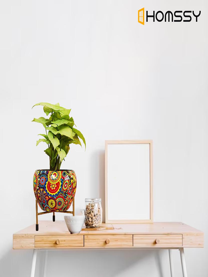 pack of 2 multi colored home decor pot - 21102219 -  Standard Image - 1