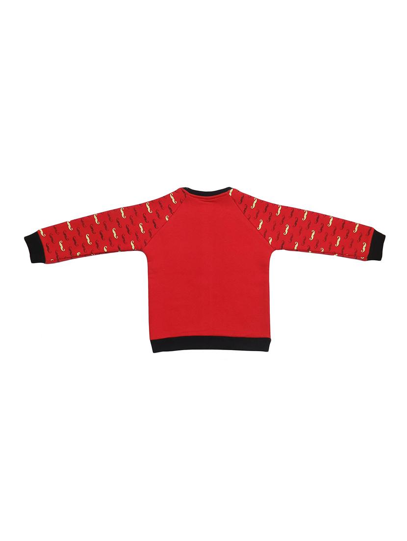 boys round neck printed sweatshirt - 21167951 - Standard Image - 1