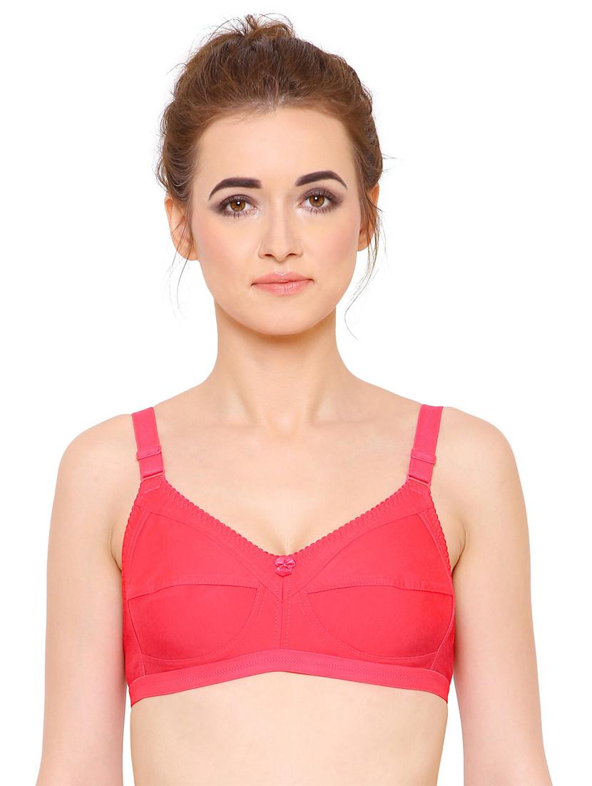 pack of 2 multi colored solid bra - 21262825 -  Standard Image - 1