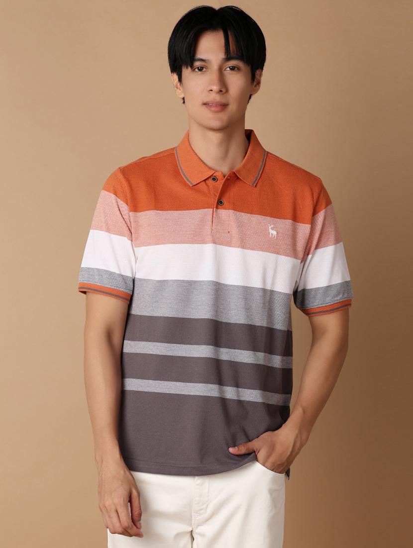 men multi colored regular fit polo t-shirt - 21296877 - Zoom Image - 0