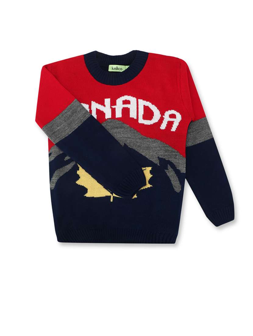 kids long sleeved self design sweater - 21360067 -  Standard Image - 1