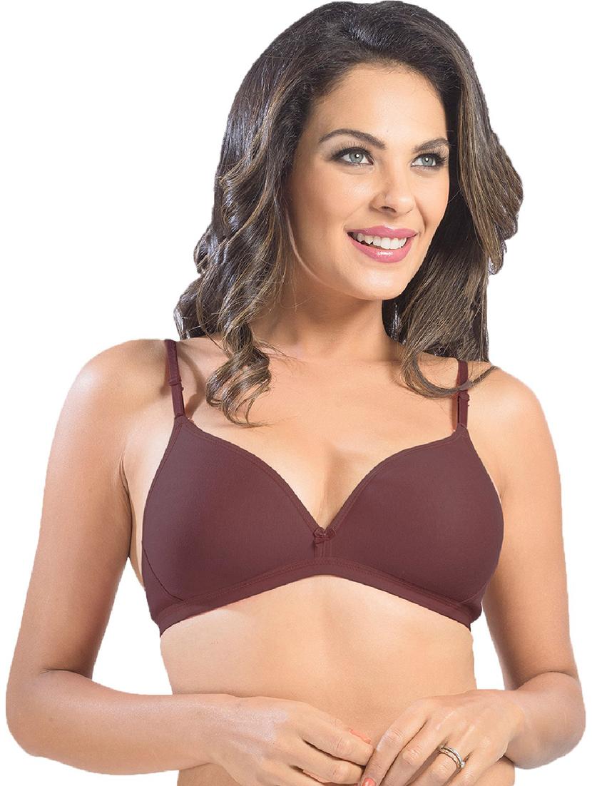pack of 2 solid t-shirt bra - 21386344 - Standard Image - 1