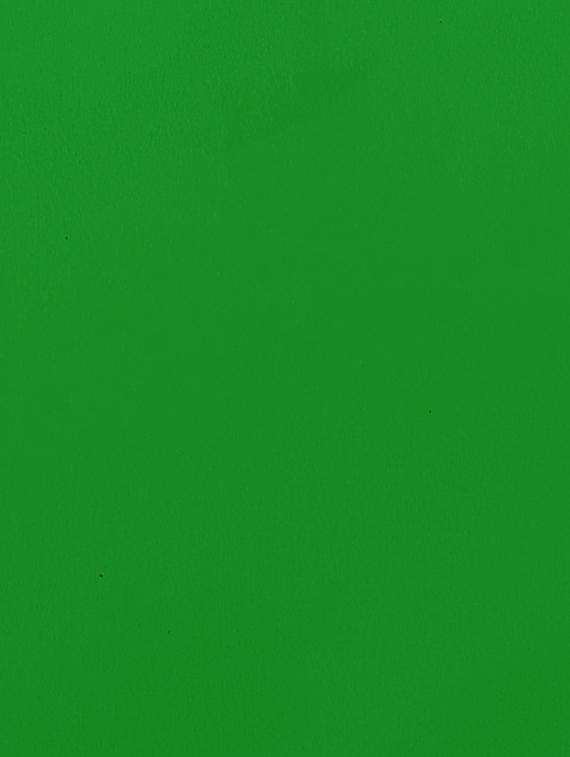 women green solid saree with blouse - 21506464 -  Standard Image - 1