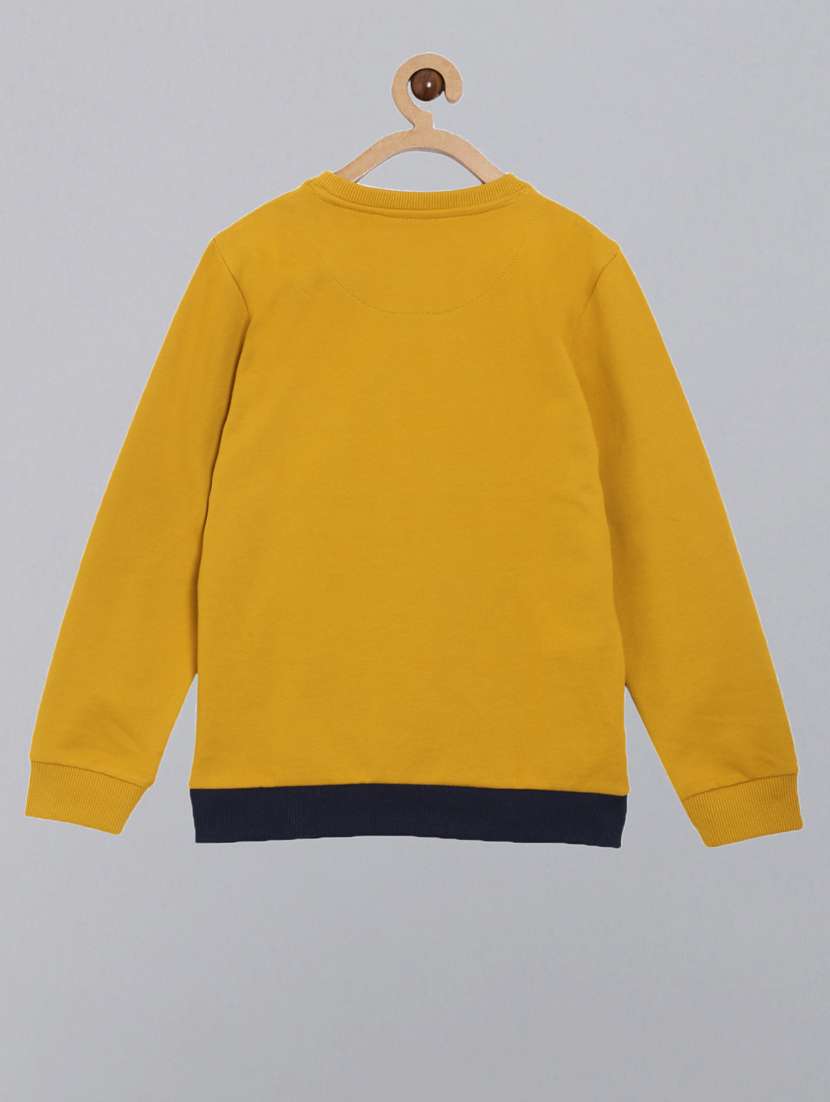 boys crew neck color block sweatshirt - 21542493 -  Standard Image - 1