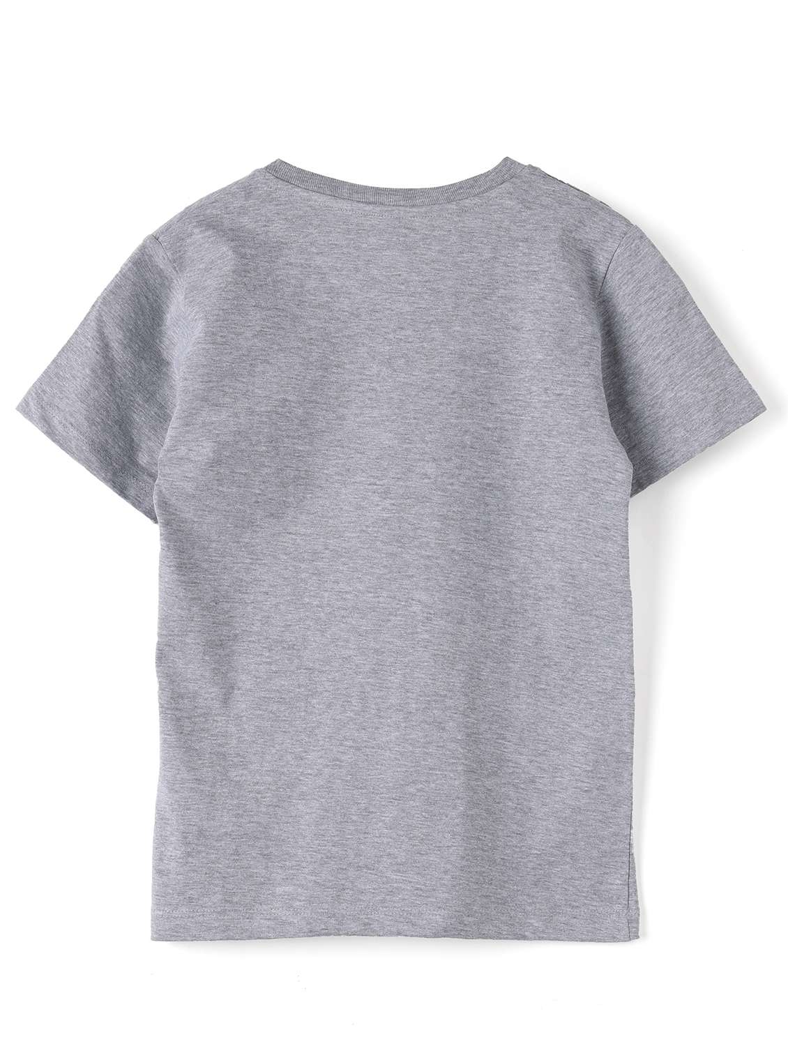 boys crew neck front print short sleeves t-shirt - 21617075 -  Standard Image - 1