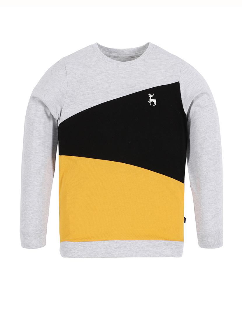 boys pack of 5 printed sweatshirts - 21651093 - Standard Image - 4