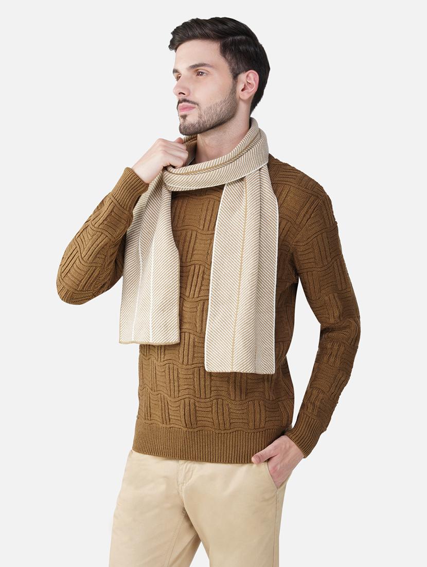 stylish winter knit muffler for men - 21662248 - Standard Image - 1