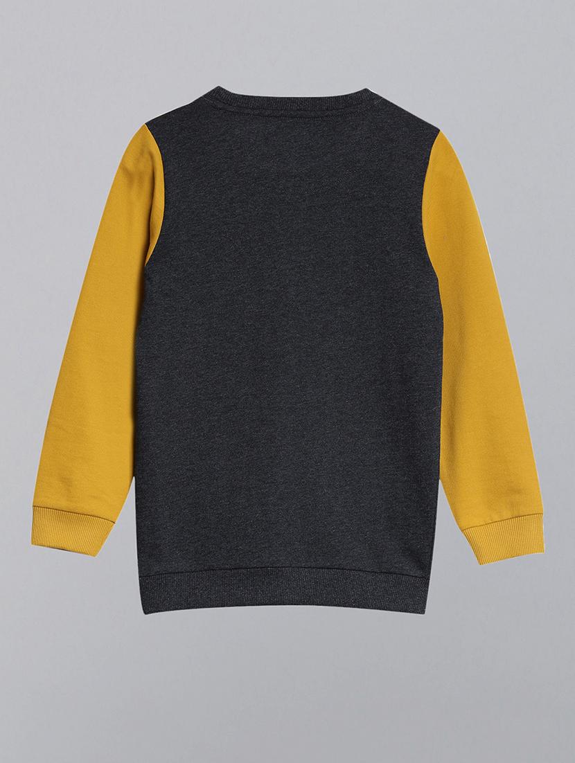 kids long sleeves color block sweatshirt - 21678214 - Standard Image - 1