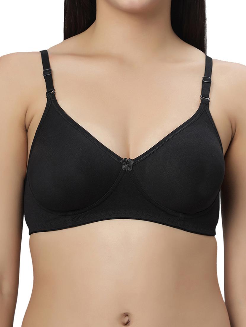 women pack of 2 solid t-shirt bra - 21695863 - Standard Image - 4