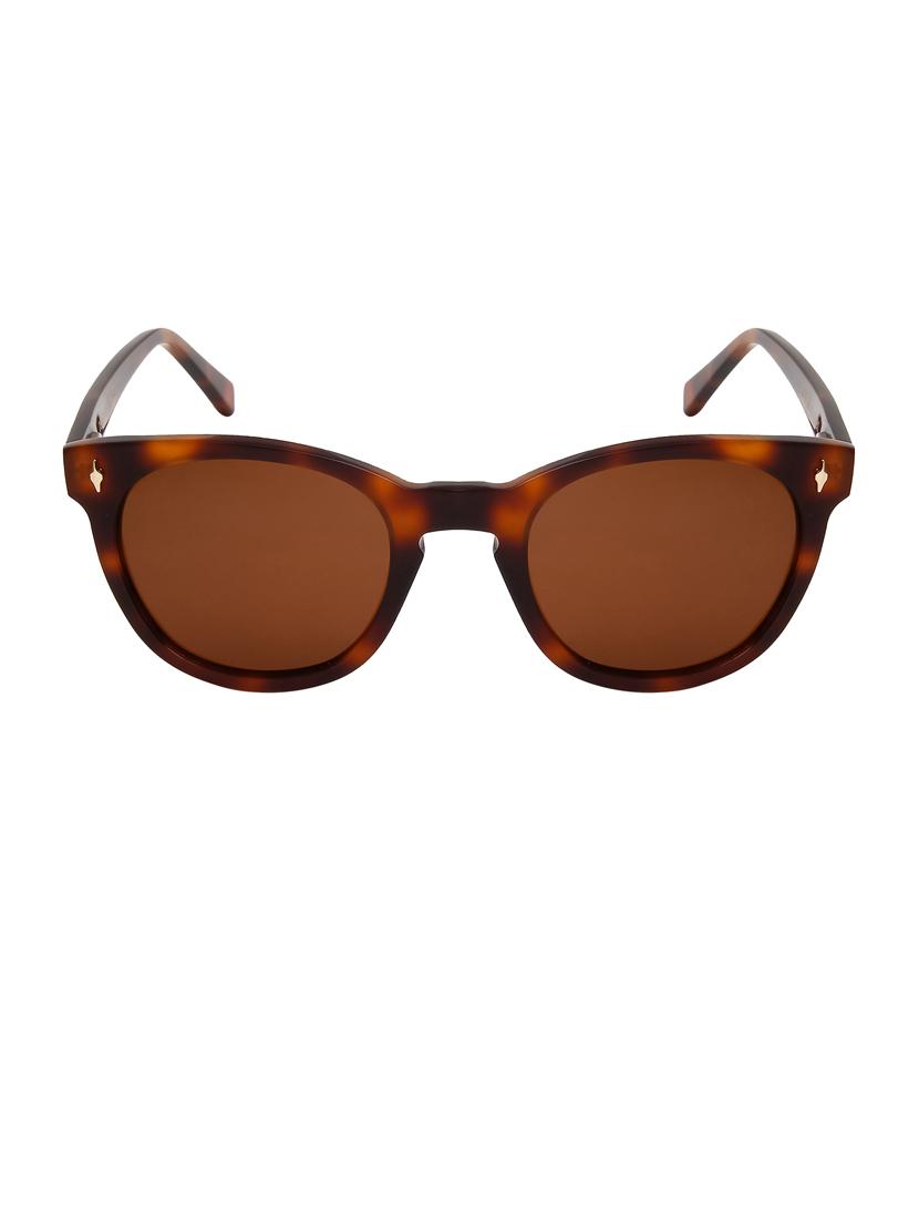 ted-smith unisex brown premium italian acetate sunglasses with  polarized lenses for men & women - 21711816 -  Standard Image - 1