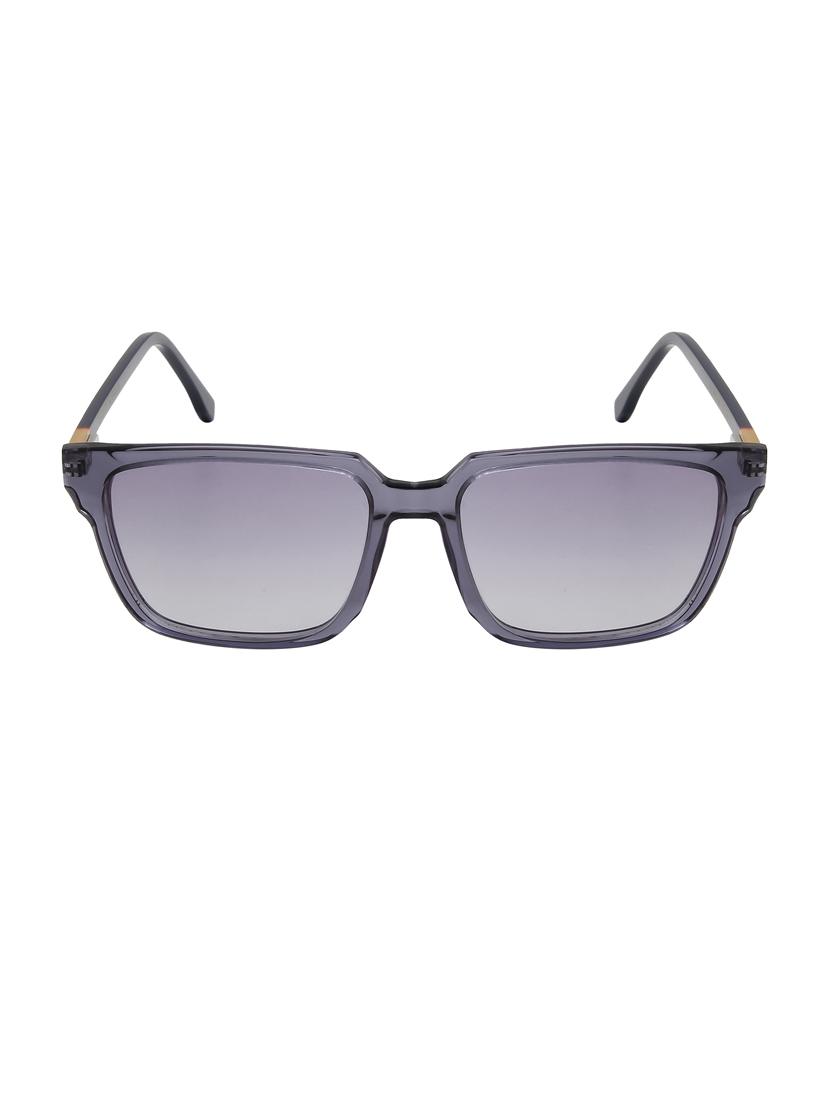 ted-smith unisex grey graded premium italian acetate sunglasses with  polarized lenses for men & women - 21711881 -  Standard Image - 1