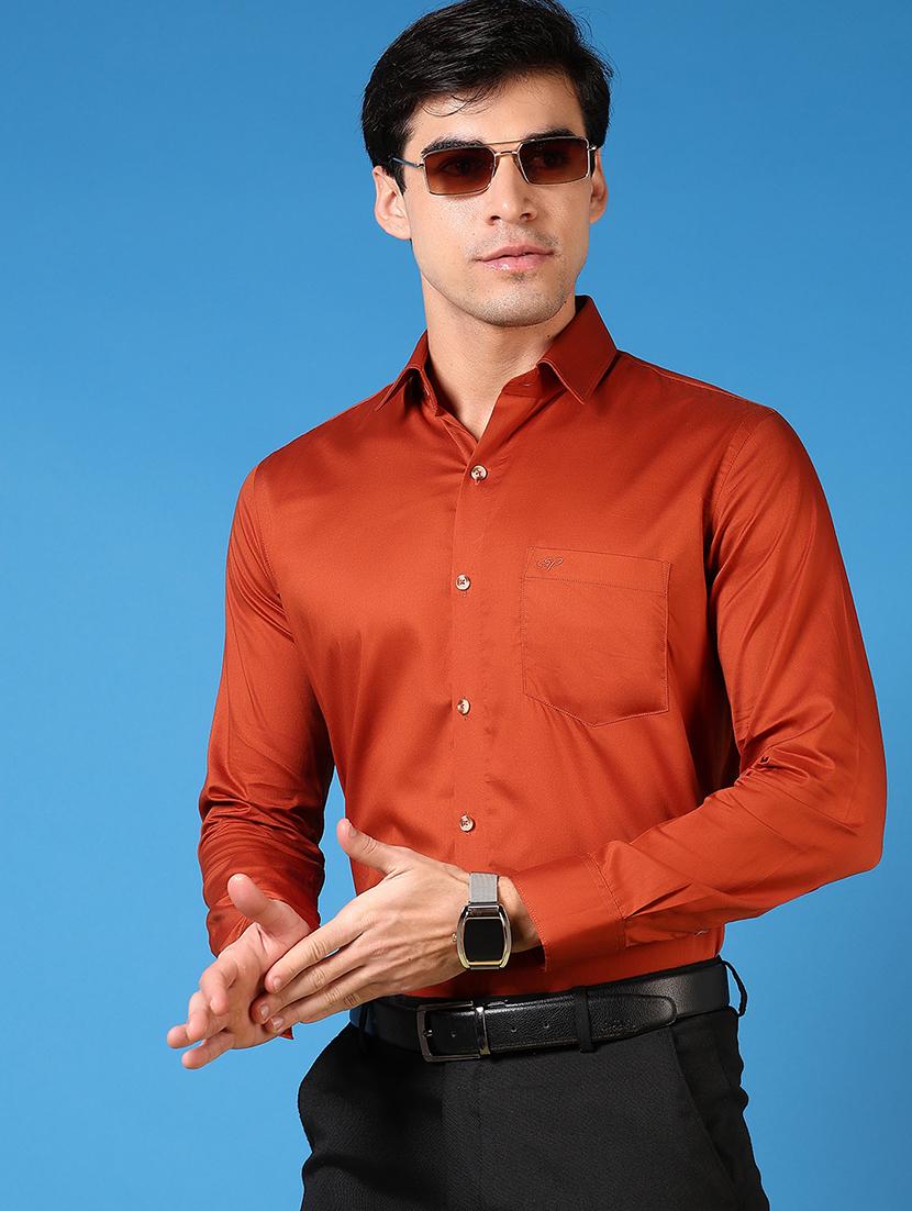 men long sleeves plain formal shirt - 21731382 -  Standard Image - 1
