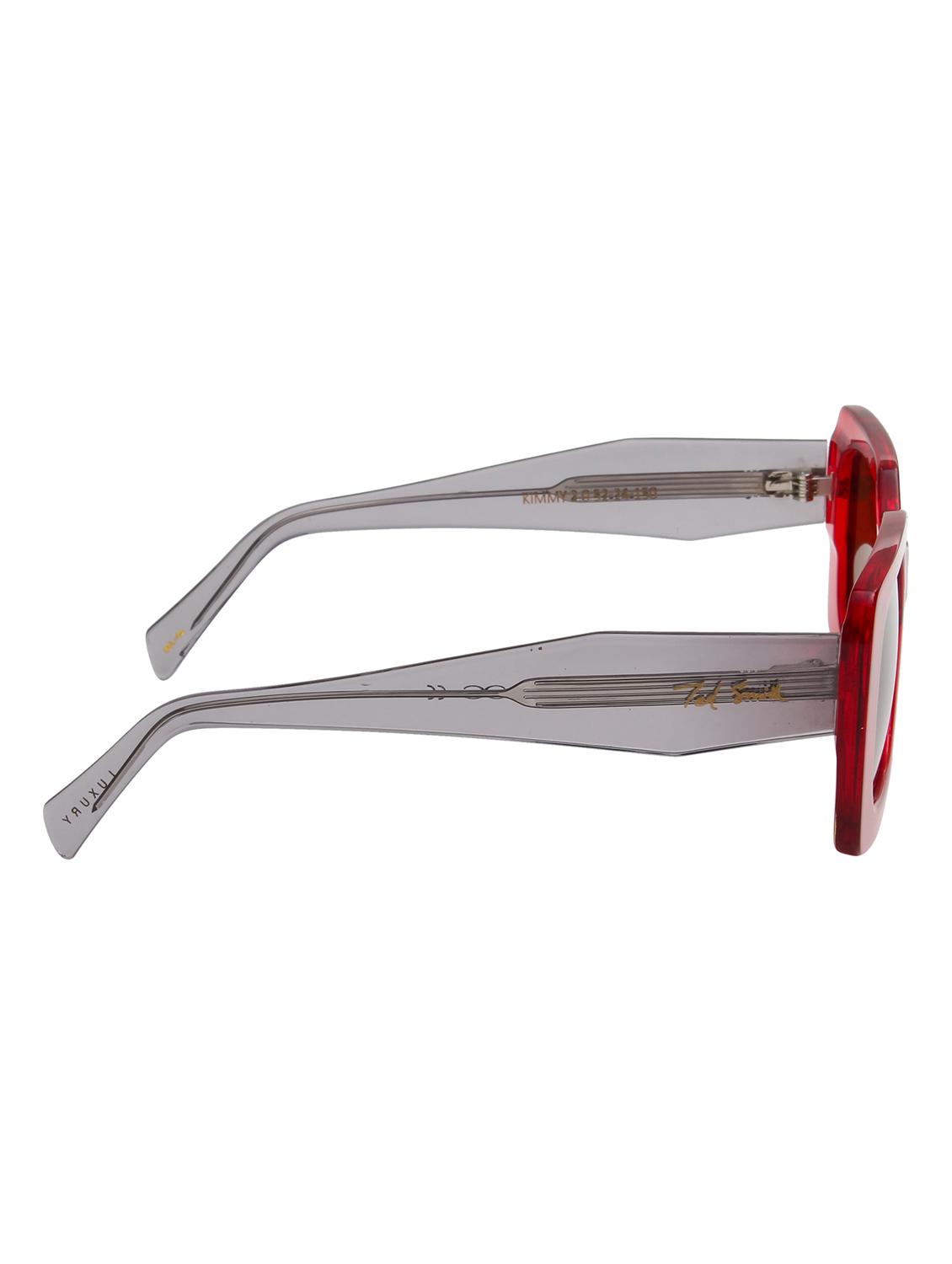 ted smith unisex brown premium italian acetate sunglasses with polarized lenses. - 21766341 - Standard Image - 4
