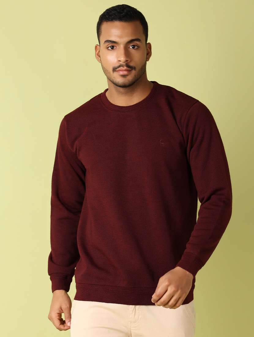 men solid long sleeve regular fit pullover - 21811493 -  Standard Image - 1