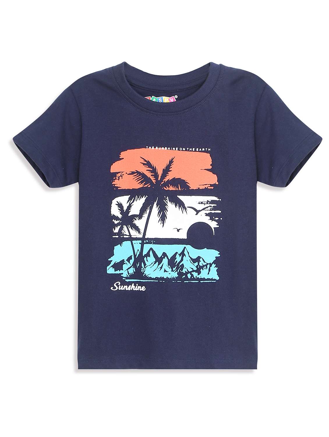 boys pack of 2 round neck t-shirt - 21899358 -  Standard Image - 1