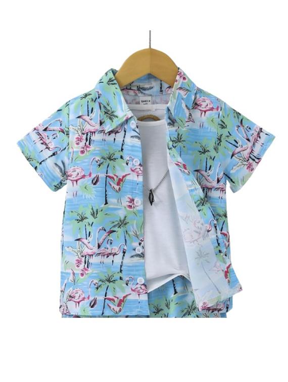 boys printed shirt & shorts casual wear set - 21922663 -  Standard Image - 1